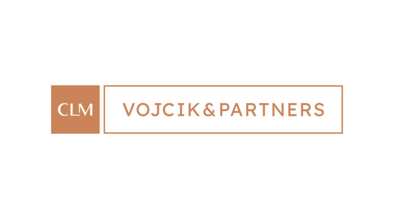 Vojcik and partners